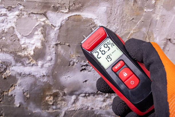 New Haven, IN Mold Removal Company